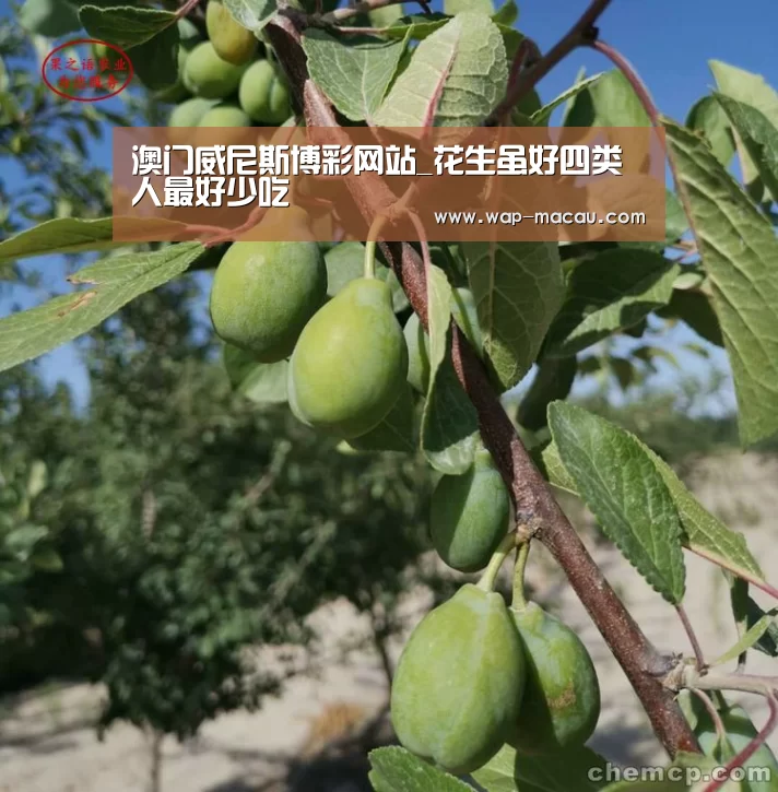 澳门威尼斯博彩网站_花生虽好四类人最好少吃(图3) 澳门威尼斯博彩网站